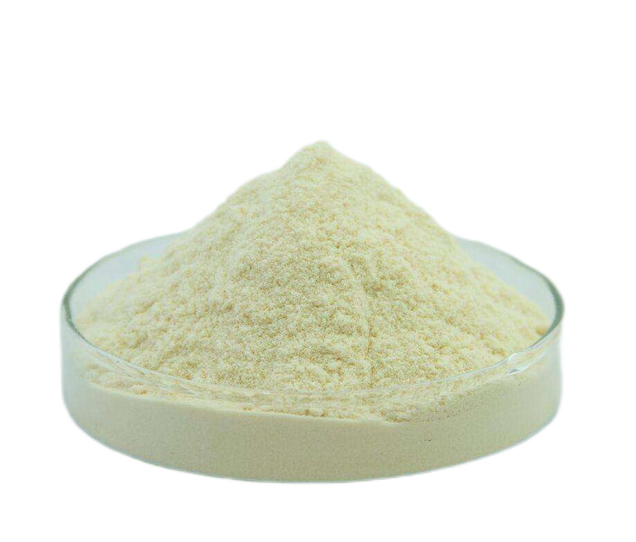 PSD 0,6-1,0 μm Cerium oxide polishing powder Micron cho kính quang học